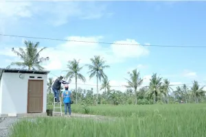 Lompatan Raksasa, Petani Sidrap Panen Melimpah 10,4 Ton Berkat Listrik Masuk Sawah