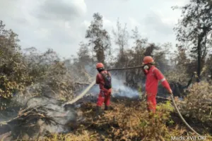 Manggala Agni Kerahkan Upaya Pemadaman Karhutla di OKI, Muba, Muara Enim, dan Ogan Ilir.