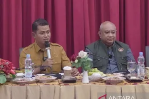 Memperkuat Mitigasi dan Percepatan Pemulihan Pascabencana