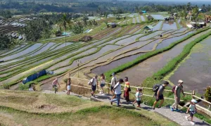 Menpar: Sektor Pariwisata Serap 25,91 Juta Tenaga Kerja pada 2025