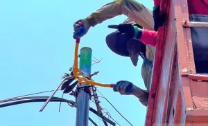 Pemkot Surabaya Bongkar 116 Tiang dan 91 Kabel Tak Berizin