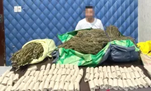 Polisi Tangkap Pemilik 15Kg Ganja di Aceh Barat, Satu Pelaku Lolos