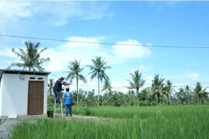 Produksi Pertanian Sidrap Meningkat, Ternyata Berkat Dukungan Ini