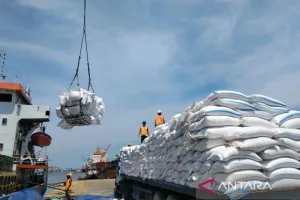 Target Serapan Gabah Terlampaui, Bulog Medan Tetap Gaspol Serap Hasil Panen Petani