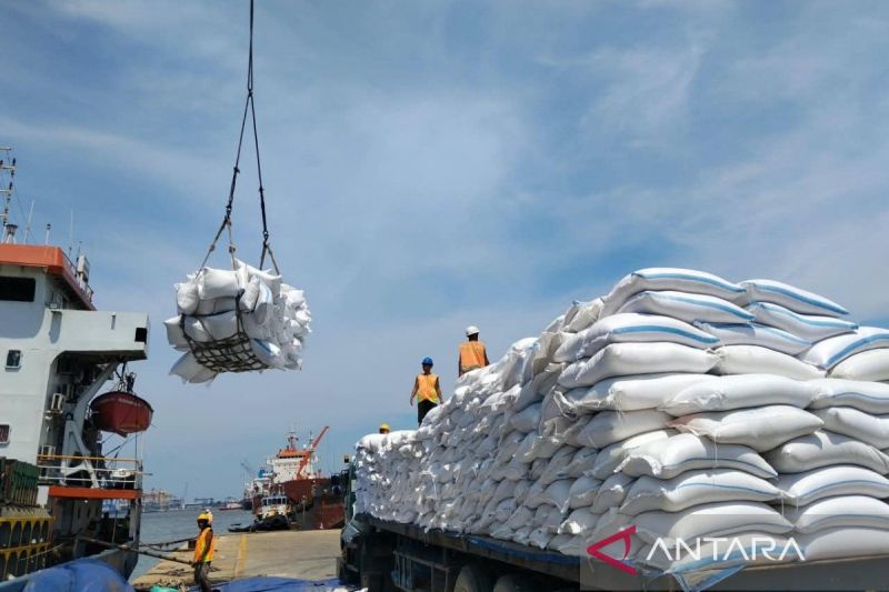 Target Serapan Gabah Terlampaui, Bulog Medan Tetap Gaspol...