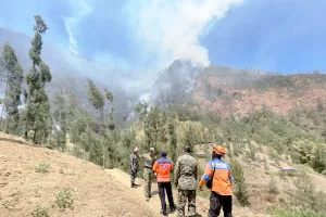 5 Pahlawan Karhutla Gugur di Bromo, BNPB Imbau Jalur Pendakian Gunung Ditutup Total