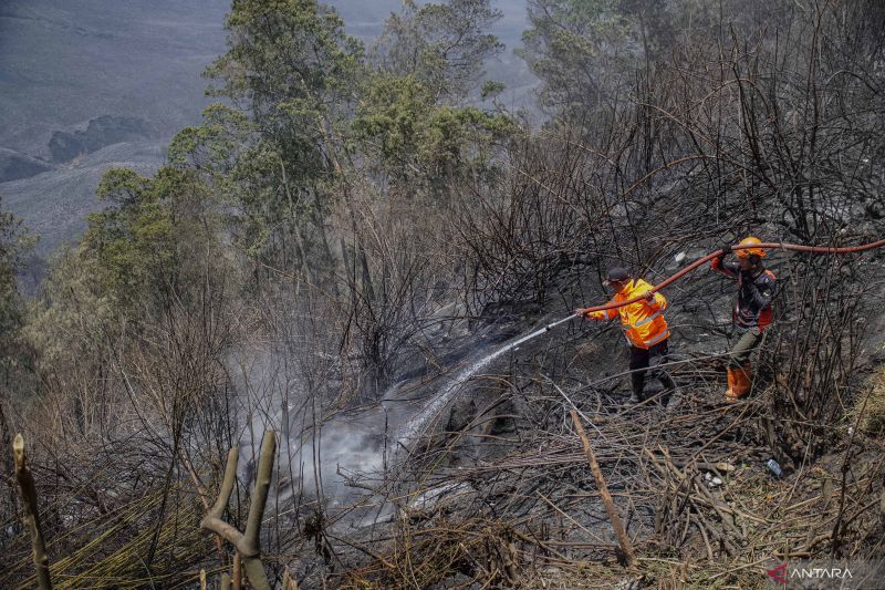 BPBD Berharap Kabut Asap Karhutla di Kalimantan Tak Cemar...