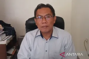 Dinas Tanaman Pangan Cianjur Catat Produksi Padi hingga September Capai 645 Ribu Ton GKG