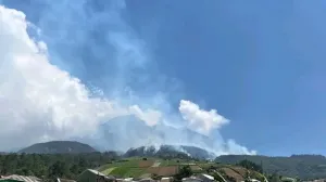 Karhutla di Gunung Lawu Makin Meluas