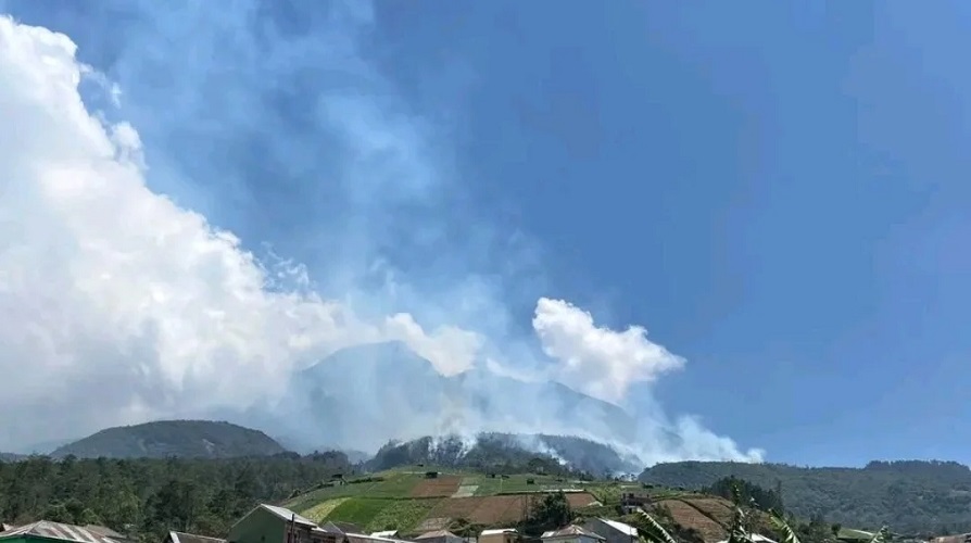Karhutla di Gunung Lawu Makin Meluas