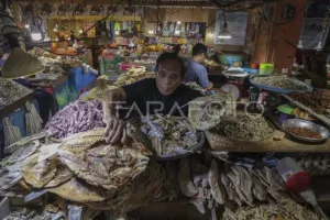 KUR Sudah Salurkan Rp243,3 Triliun, Mengapa Kredit UMKM Masih Tumbuh Lambat?