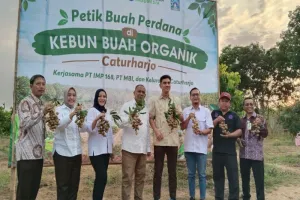 Langkah Inovatif Sleman! La...