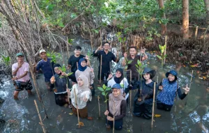 LindungiHutan Tanam 100 Mangrove di PIK, Jaga Pesisir Jakarta