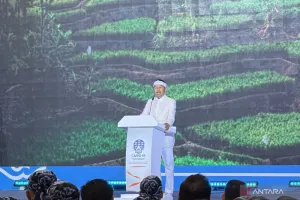 Nyari Gawe Jadi Strategi Ja...