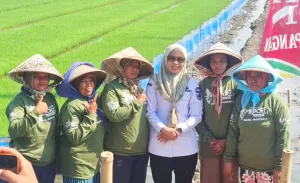Pemkab Demak Ajak Petani Optimalisasi Lahan Menuju Swasembada Pangan