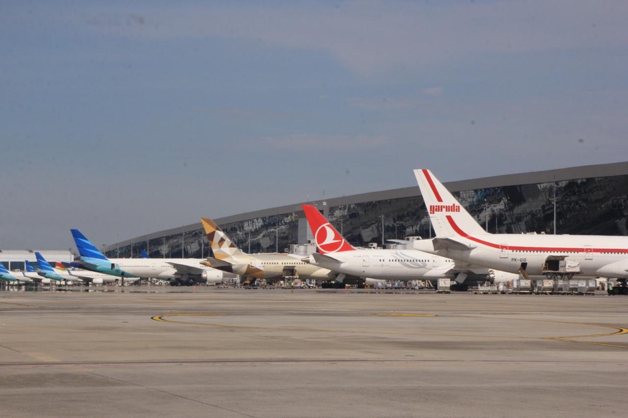 Tak Hanya Maskapai, Ini Ragam Bisnis Para Konglomerat Aviasi Indonesia