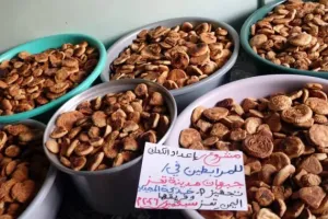 Bikin Kue Kering, Perempuan Yaman Kini Galang Dana Beli Senjata untuk Lawan Kelompok Houthi