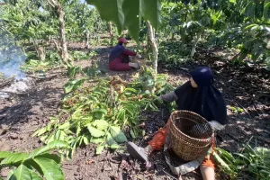 Disdikbud Ajak Warga Bumikan Kembali Bahasa Lampung di Area Publik 