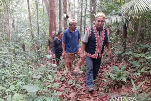 Masyarakat Adat Mahulu Menjaga Sumber Air dengan Melindungi Hutan