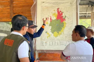 Api Mengancam Kawasan Gunung Ciremai, BPBD Siapkan Water Bombing untuk Atasi Karhutla