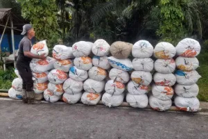 Bulog Meulaboh Tampung 20,4 Ton Gabah Petani Simeulue Sepanjang Januari-Oktober 2026.