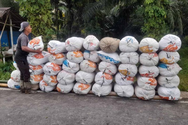 Bulog Meulaboh Tampung 20,4 Ton Gabah Petani Simeulue Sep...