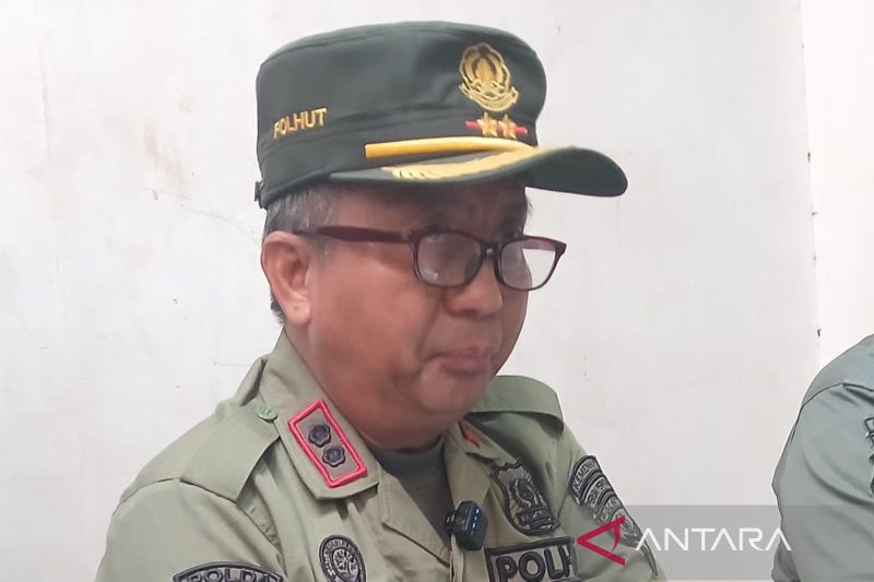 Gawat Belum Bisa Dipadamkan, Luas Terdampak Kebakaran Hut...