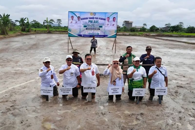 Pemkab Malinau Perkuat Pertanian sebagai Sumber Pertumbuh...