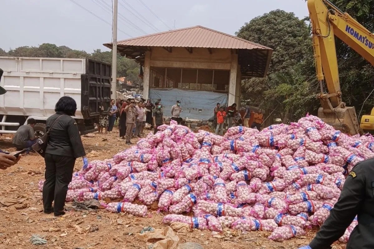 29 Ton Bawang Putih Rusak Asal Tiongkok Dimusnahkan di Batam