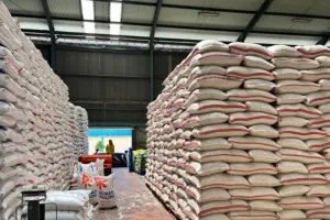 Perum Bulog: Stok Beras Jawa Barat Aman sampai Panen Raya Tahun 2027
