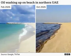 Tumpahan Minyak dari Kapal Tanker Mengancam Lingkungan Laut, UEA Tutup Seluruh Pantai dan Pesisir 