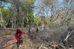 Upaya Mengembalikan Tumbuhan Endemik di Kawasan Hutan Cekik, Jembrana, Bali