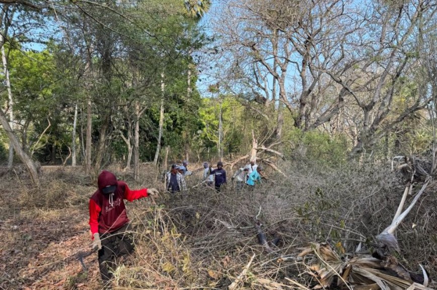 Upaya Mengembalikan Tumbuhan Endemik di Kawasan Hutan Cekik, Jembrana, Bali