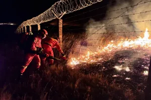 Bikin Cagar Alam Mongolia Ludes Terbakar, Perusahaan Jepang Akhirnya Minta Maaf