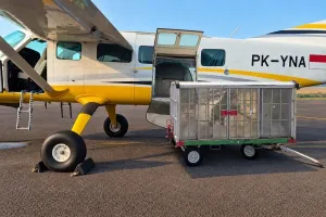 Antisipasi Dampak Kekeringan, BP Batam Lakukan Operasi Modifikasi Cuaca  
