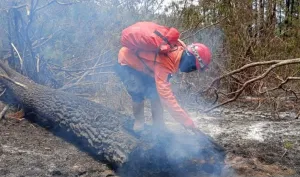 Titik Api Tak Terdeteksi, Tim Gabungan Fokus Dinginkan Tiga Blok Gunung Ciremai