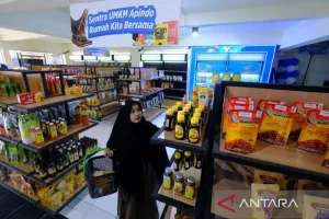 UMKM Tak Cukup Bertahan, Inovasi Jadi Senjata Menangi Persaingan