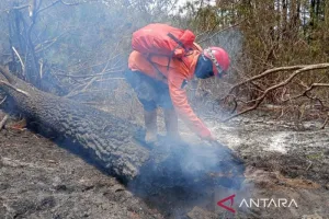 Upaya Pendinginan Gunung Ciremai Terus Berjalan, Tim Gabungan Fokus di Tiga Blok Cegah Kebakaran Terulang