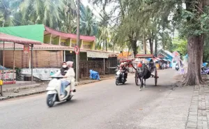 Wisatawan Lokal Dukung Ekon...