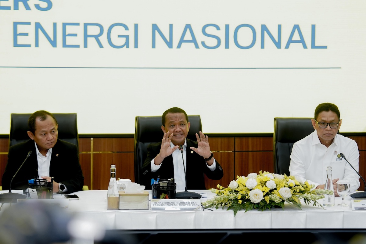 Alasan Mengejutkan di Balik...
