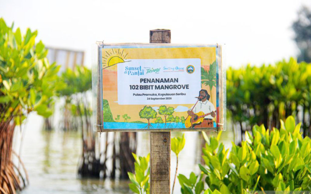 Kepulauan Seribu Nilai Mangrove Berperan Penting Lindungi Garis Pantai