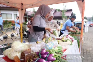 Pemkab Bogor Dorong Warga Kurangi Ketergantungan pada Beras, Apa Alternatifnya?
