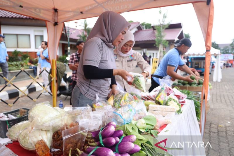 Pemkab Bogor Dorong Warga Kurangi Ketergantungan pada Ber...