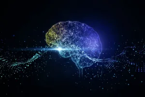 Teknologi AI Berkembang Pesat, Bagaimana UKM Menentukan Pilihan?