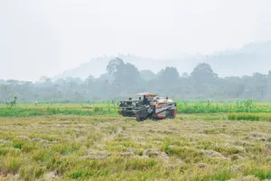 Jaga Ketahanan Pangan, Pemkab Morut Imbau Warga Tidak Alih Fungsikan Lahan Pertanian.