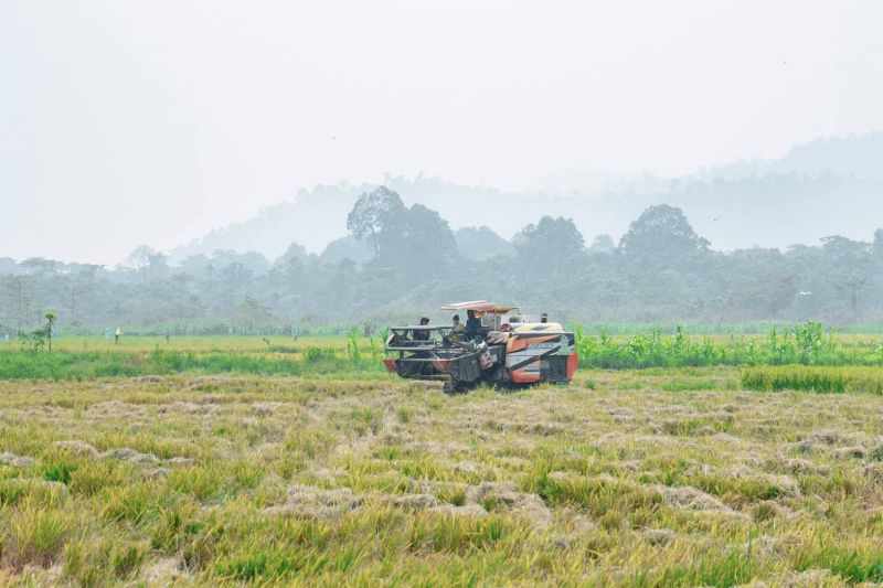 Jaga Ketahanan Pangan, Pemkab Morut Imbau Warga Tidak Ali...