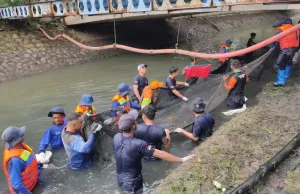 Jakbar Tangkap 1,19 Ton Ika...