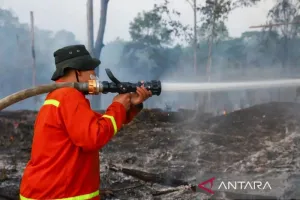 Pemerintah Didesak Evaluasi Penanganan Kebakaran Hutan