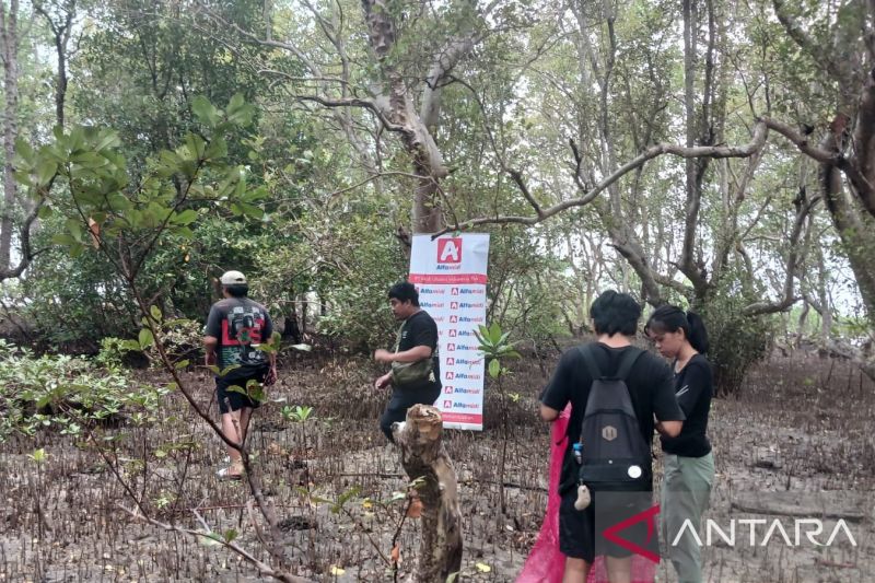 Resah Banyak Sampah, Sekelompok Anak Muda Sulut Bersih-bersih Pantai di Bunaken