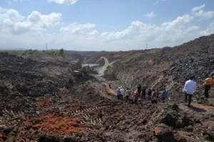Berkedok Kebun Sawit, Perusahaan Asing Diam-diam Keruk Tambang